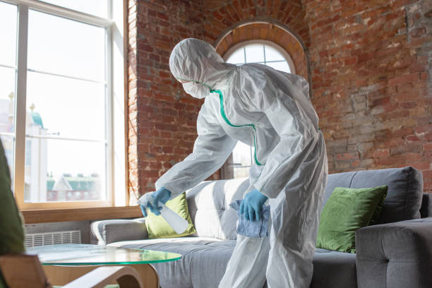 Best Mold Remediation for Healthcare Facilities  in Arlington, MN