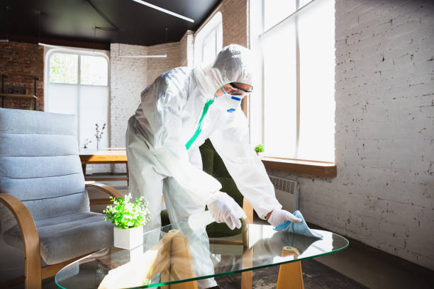 Why You Should Choose Our Mold Remediation Services in Arlington, MN