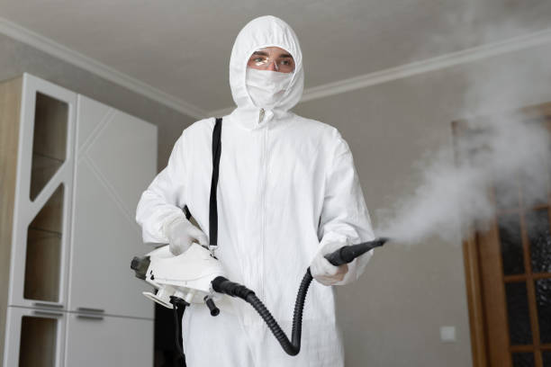 Best Comprehensive Air Testing for Mold Contaminants  in Arlington, MN